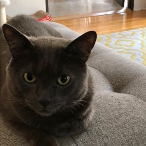 Meet your Posher, Frank